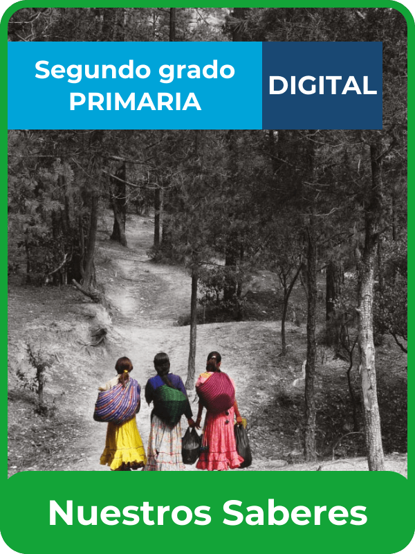libro digital nuestros saberes segundo grado de primaria