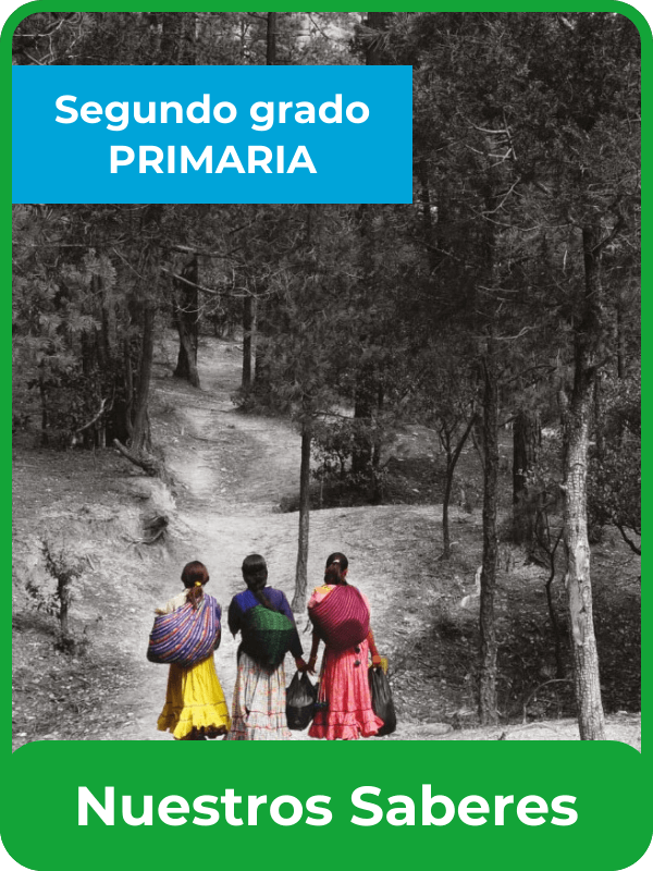 Nuestros saberes: Libro para alumnos, maestros y familia segundo grado de primaria