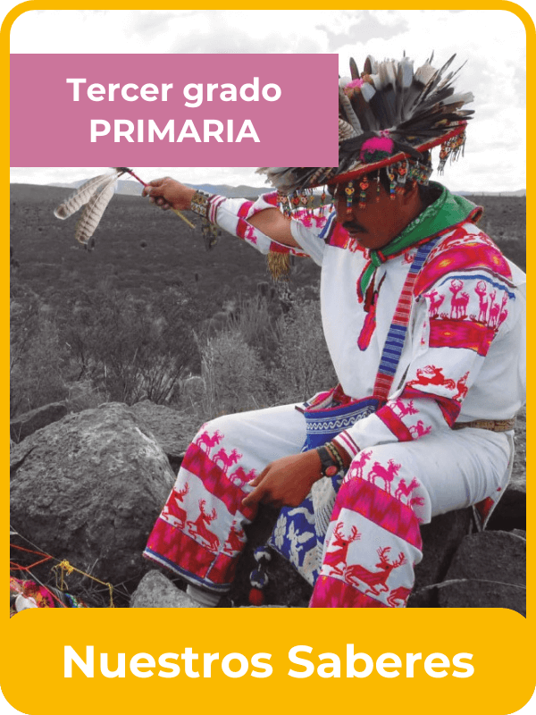 Libro de la SEP nuestros saberes tercer grado de primaria
