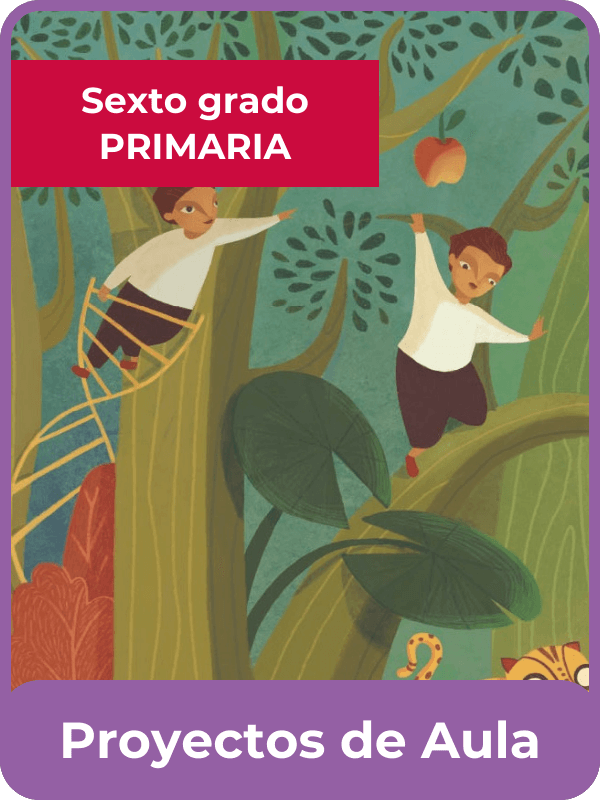 Libro de la SEP proyectos de aula sexto grado de primaria
