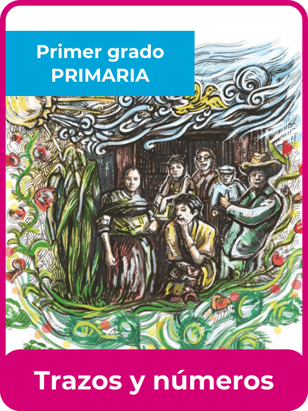 libro de la SEP trazos y números primer grado de primaria