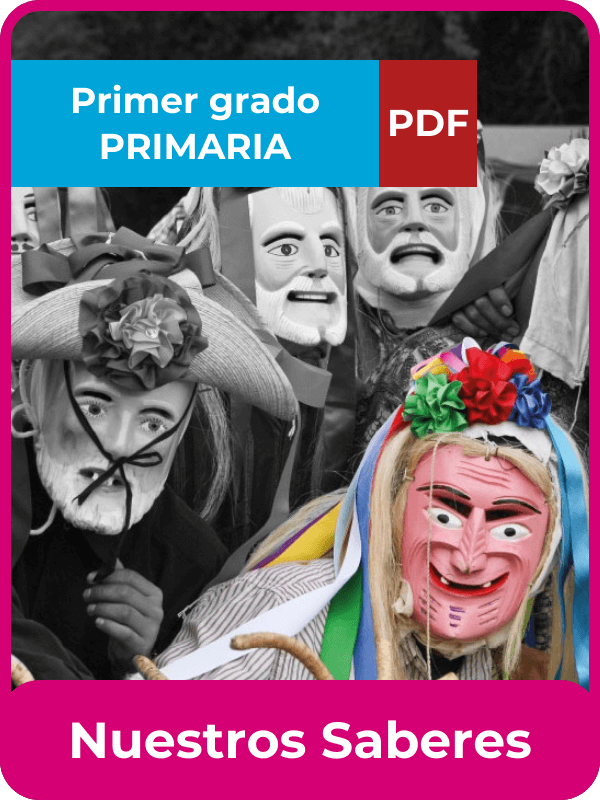 nuestros saberes primer grado en PDF