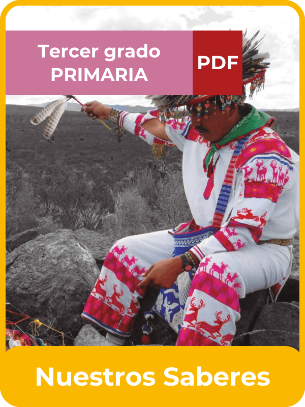 nuestros saberes tercer grado de primaria en PDF