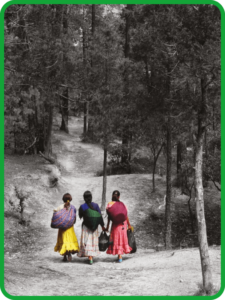 nuestros saberes segundo grado