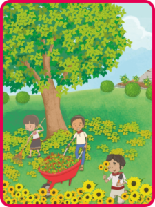 proyectos escolares quinto grado