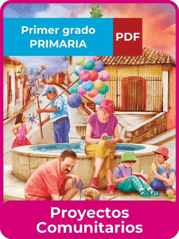 proyectos comunitarios primer grado en PDF