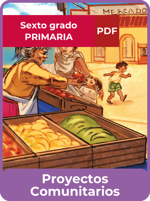 proyectos comunitarios sexto grado de primaria en PDF