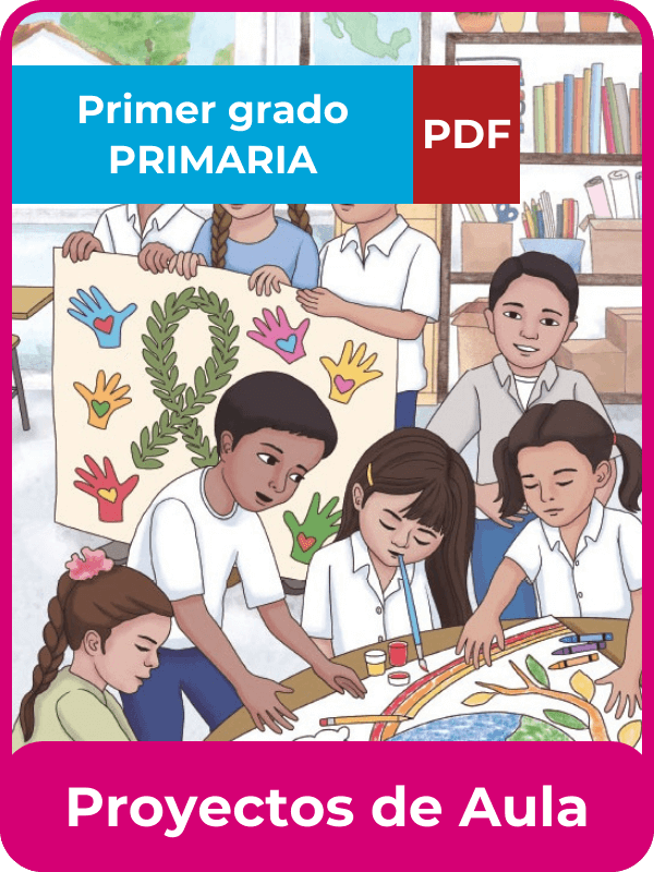 proyectos de aula primer grado en PDF