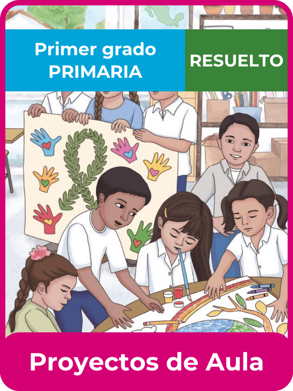 libro resuelto proyectos de aula primer grado de primaria