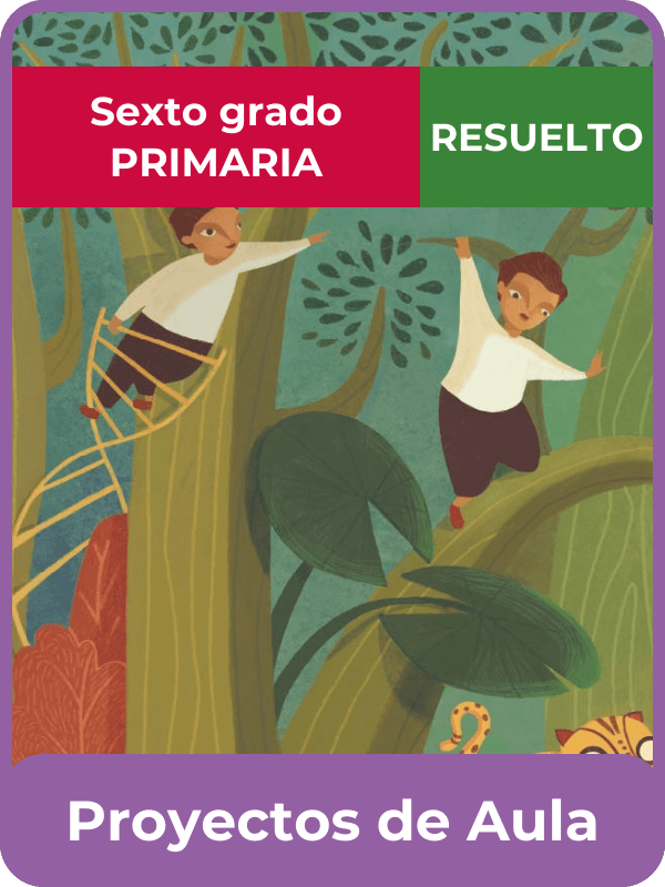 libro resuelto proyectos de aula sexto grado de primaria