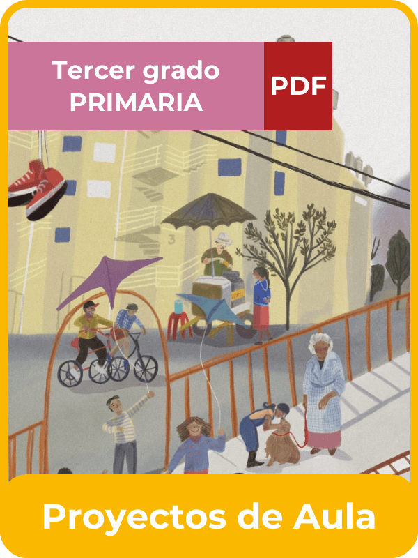 proyectos de aula tercer grado de primaria en PDF