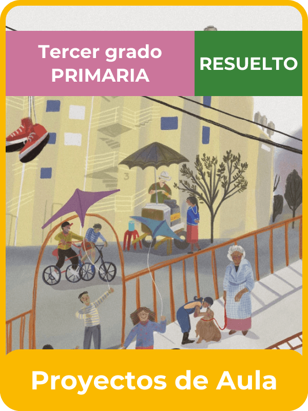libro resuelto proyectos de aula tercer grado de primaria