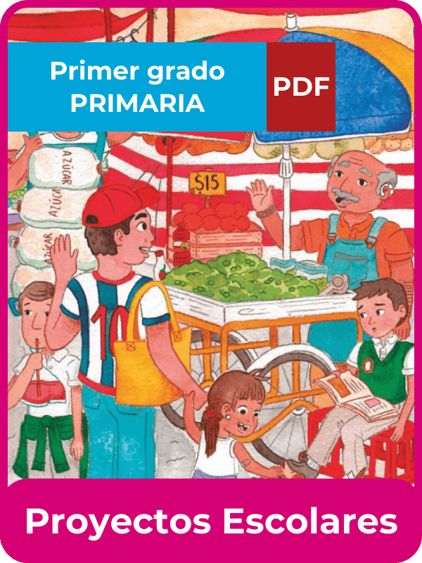 proyectos escolares primer grado en PDF