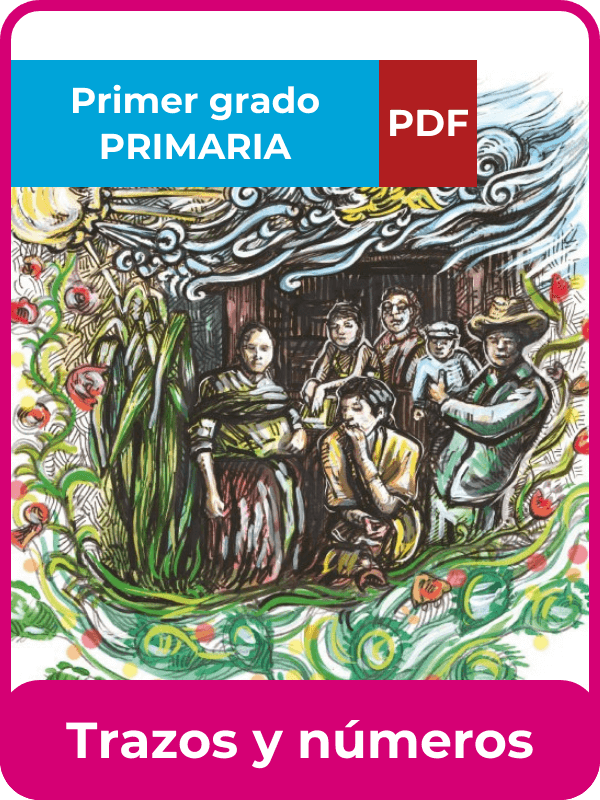 trazos y números primer grado en PDF