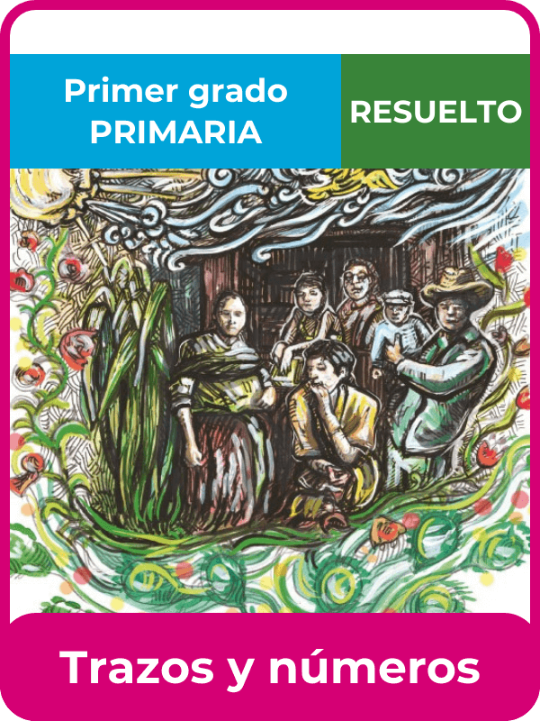 libro resuelto trazos y números primer grado de primaria
