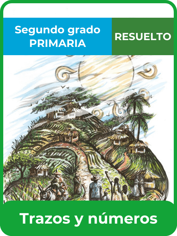 libro resuelto trazos y números segundo de primaria