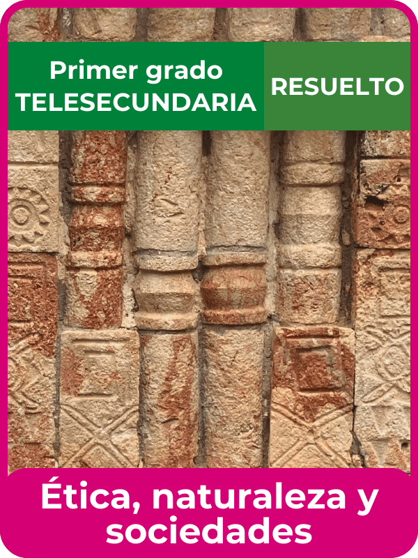 libro resuelto ética, naturaleza y sociedades primero de telesecundaria
