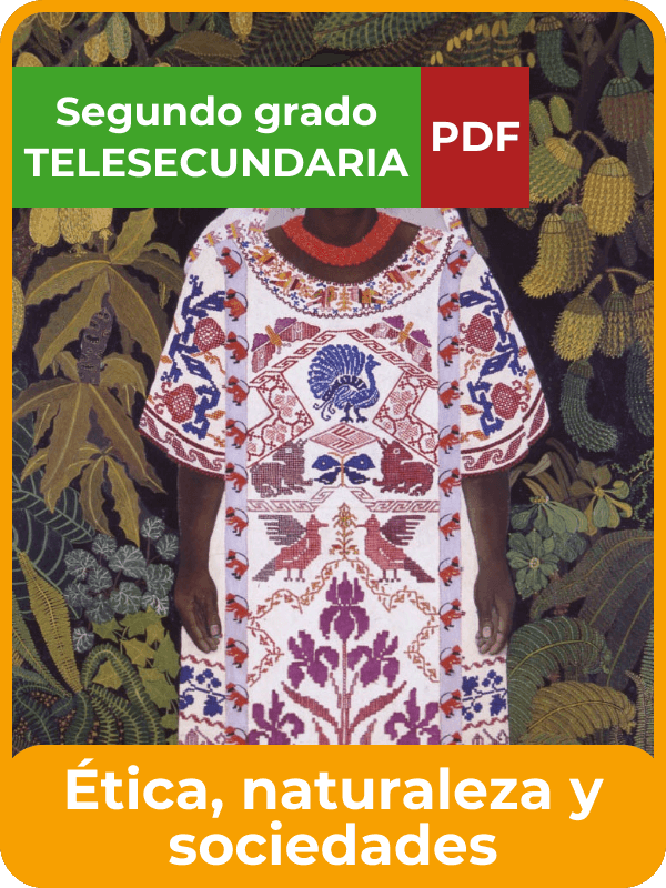 ética, naturaleza y sociedades segundo de telesecundaria en PDF