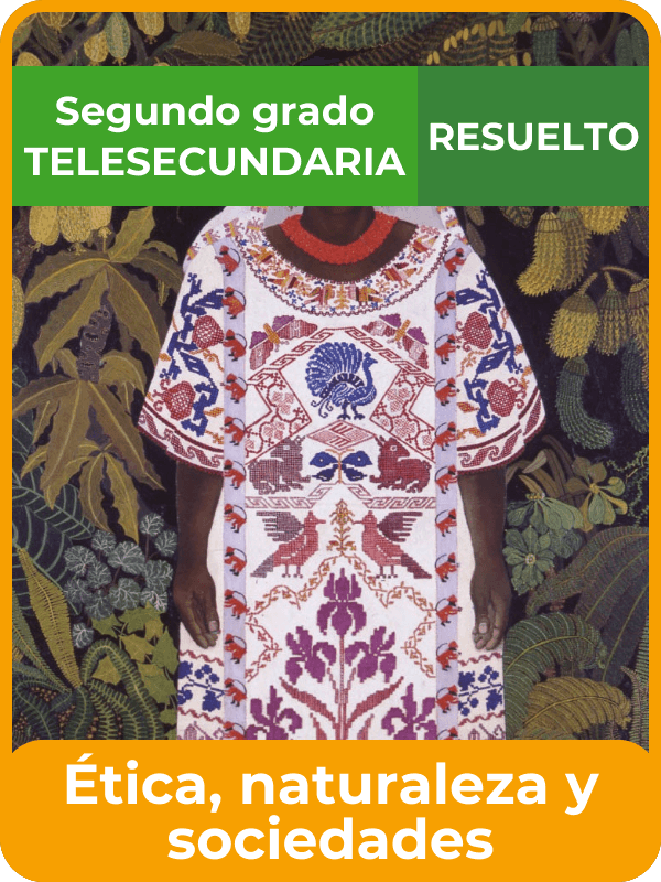 libro resuelto ética, naturaleza y sociedades segundo de telesecundaria