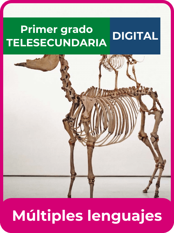 libro digital múltiples lenguajes primero de telesecundaria