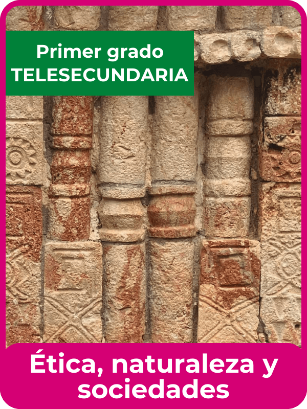 libro de la SEP ética, naturaleza y sociedades primero de telesecundaria