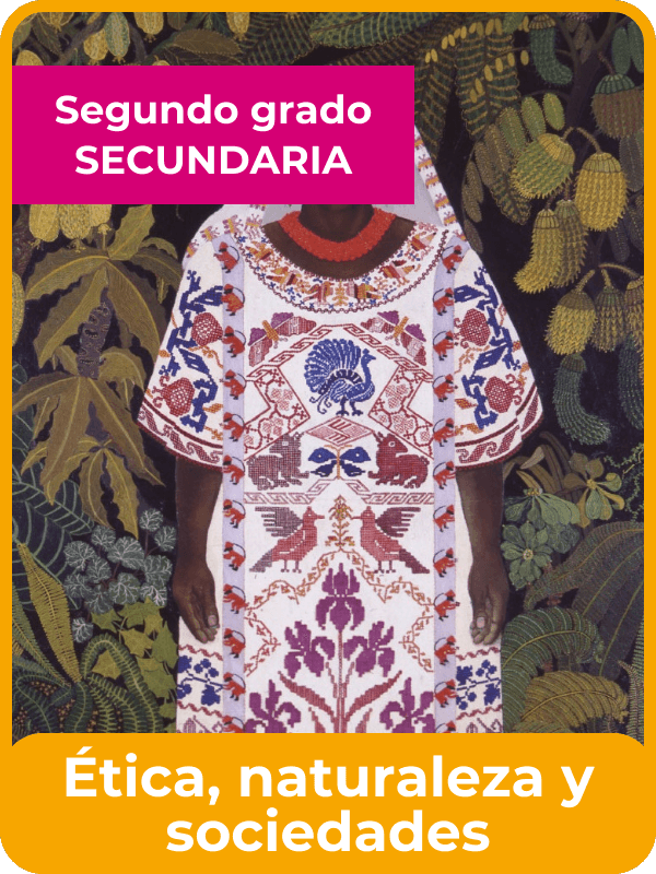 libro de la SEP ética, naturaleza y sociedades segundo de secundaria