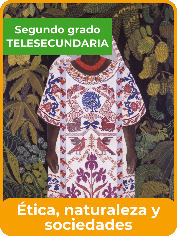 libro de la SEP ética, naturaleza y sociedades segundo de telesecundaria
