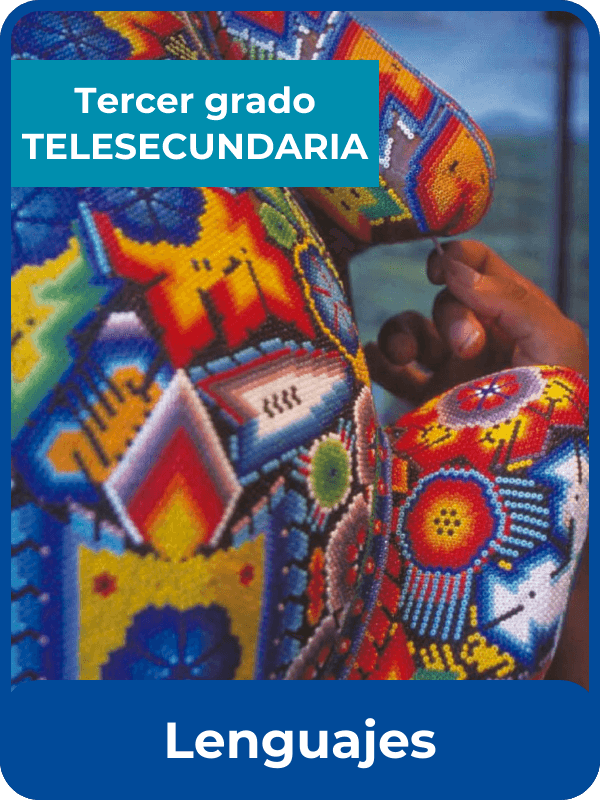 libro de texto de la SEP lenguajes tercero de telesecundaria