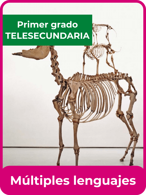 libro de la SEP múltiples lenguajes primero de telesecundaria