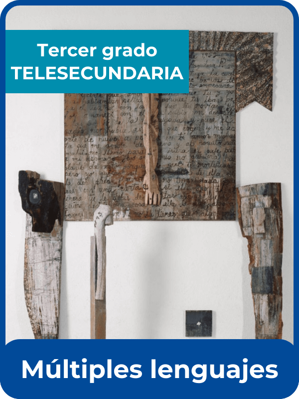 libro de la SEP múltiples lenguajes tercero de telesecundaria