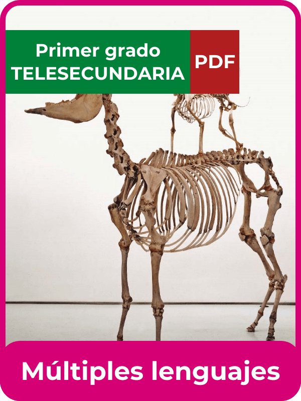 múltiples lenguajes primero de telesecundaria en PDF