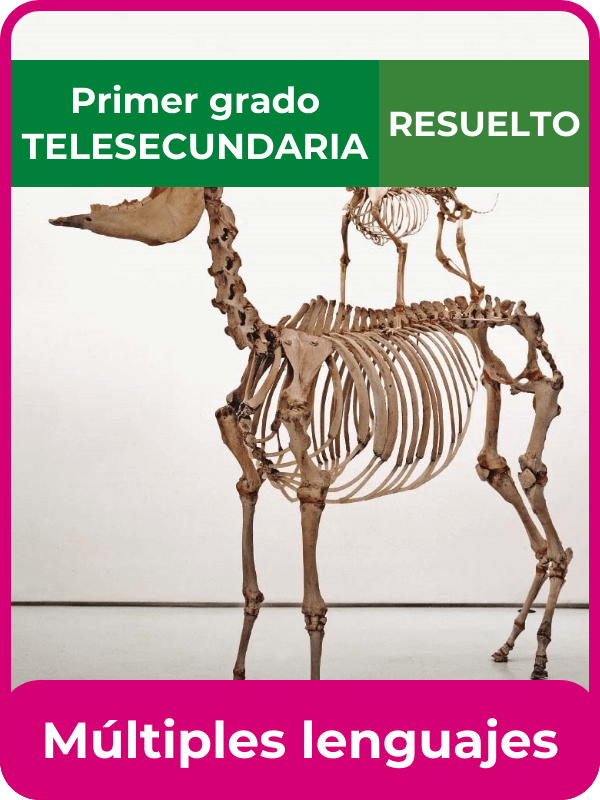 libro resuelto múltiples lenguajes primero de telesecundaria