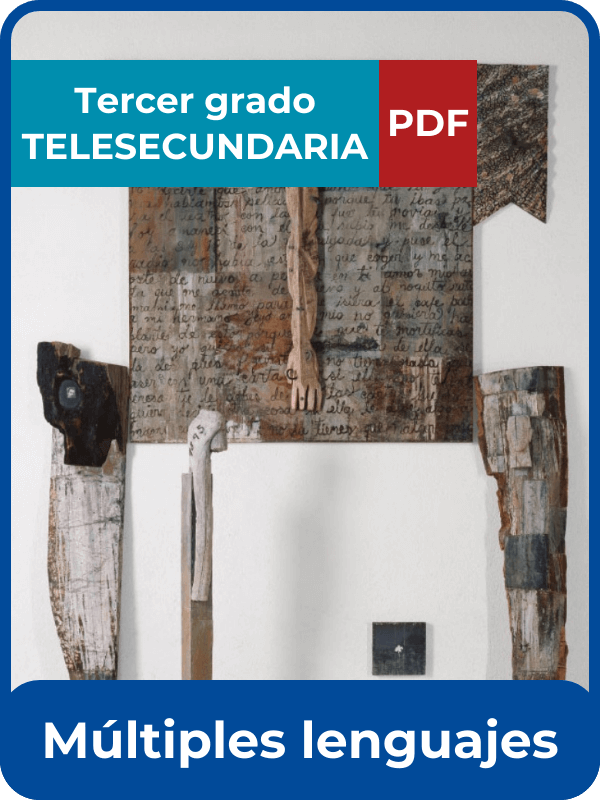 múltiples lenguajes tercero de telesecundaria en PDF