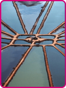 Nuestro libro de proyectos tomo 1 primer grado de telesecundaria