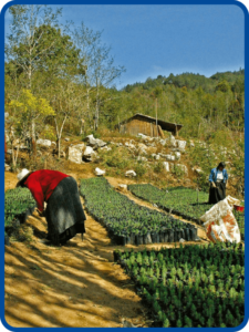 Nuestro libro de proyectos tomo 2 tercer grado de telesecundaria