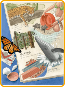 Projects and readings segundo grado de secundaria