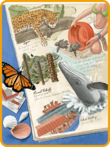 Libro de ingles segundo grado de telesecundaria