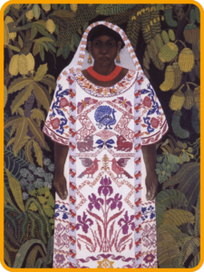 Ética, naturaleza y sociedades segundo grado de telesecundaria