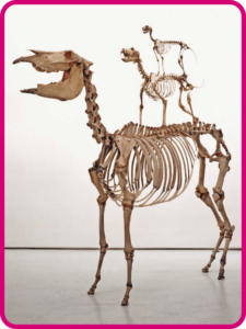 Múltiples lenguajes primer grado de telesecundaria