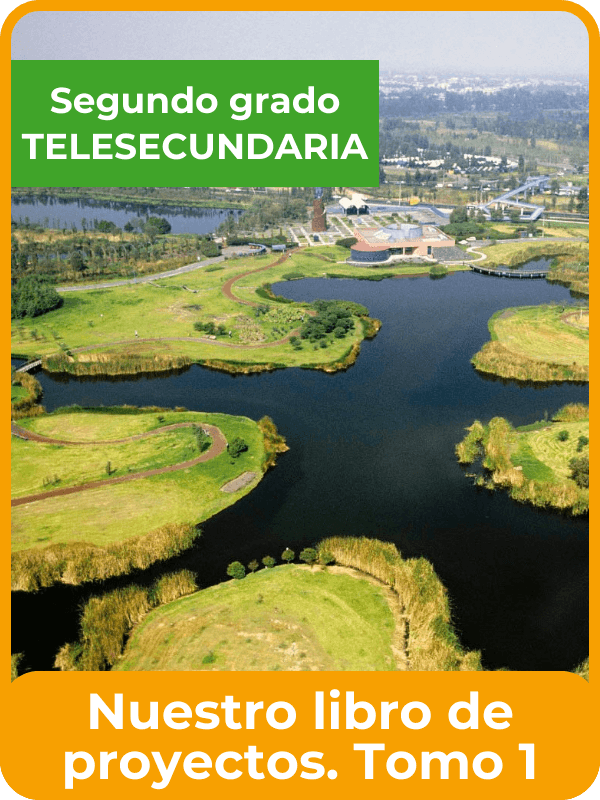 nuestro libro de proyectos tomo 1 segundo de telesecundaria